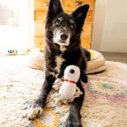 Peanuts Snoopy Plush Rope Dog Toy