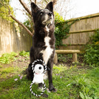 Peanuts Snoopy Plush Rope Ring Dog Toy