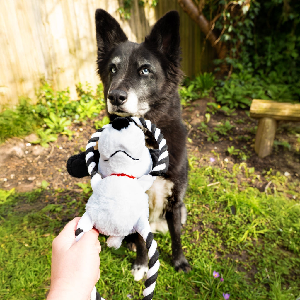 Peanuts Snoopy Plush Rope Ring Dog Toy