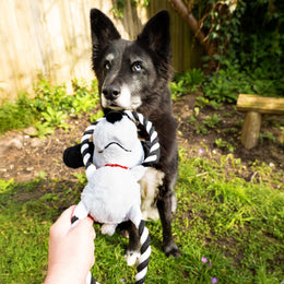 Peanuts Snoopy Plush Rope Ring Dog Toy