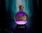 Harry Potter Potion Lamp - Large